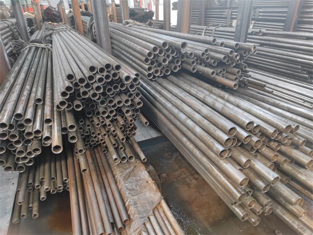 IMG_20230401_144027.jpg IMG_20230401_144027.jpg